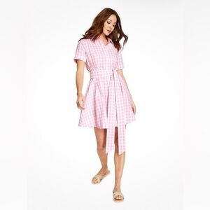 Pink Gingham Shirt Dress
